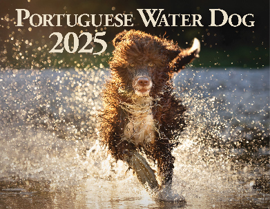 2025 Nutmeg Calendar